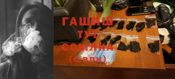 стаф Алзамай