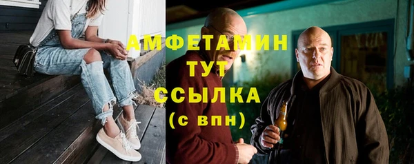 стаф Алзамай