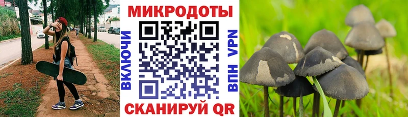 цены   Сясьстрой  Псилоцибиновые грибы мицелий 